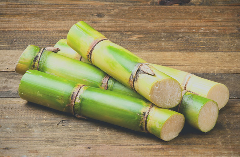 Sugarcane S